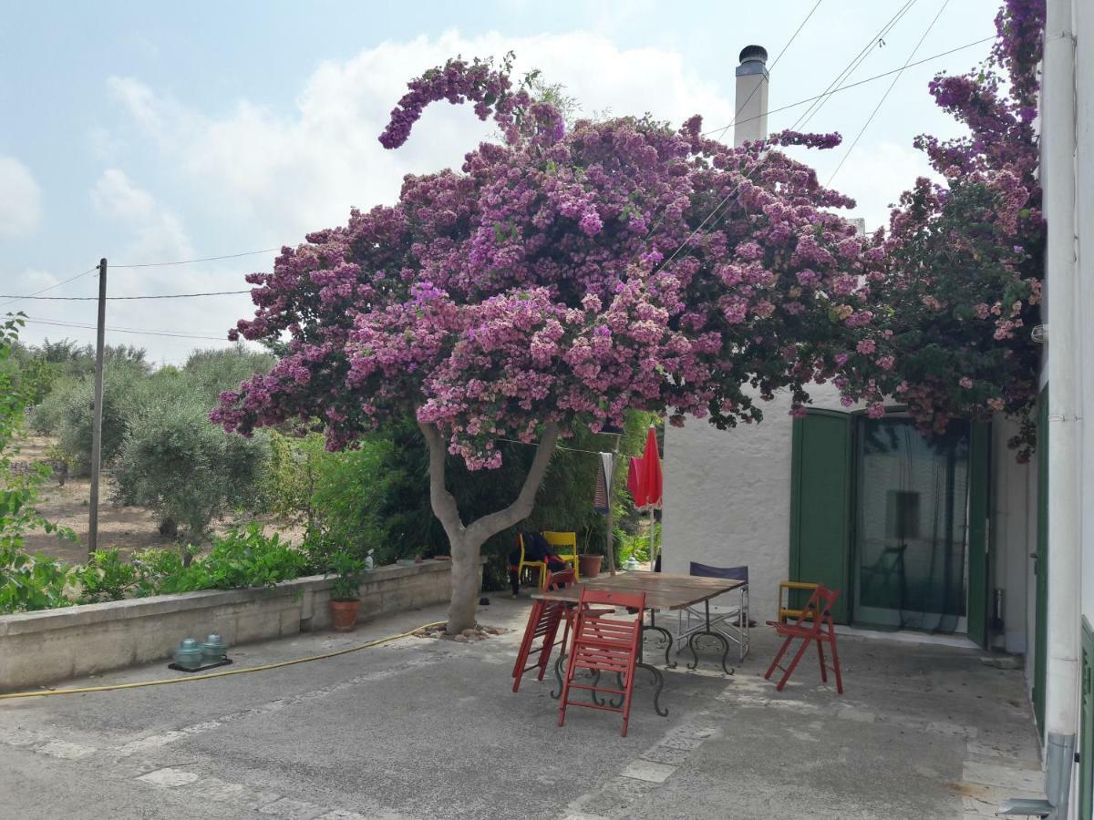 Fra Il Glicine E Il Sambuco Villa โมโนโปลี ภายนอก รูปภาพ