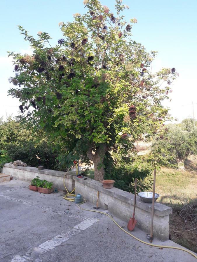 Fra Il Glicine E Il Sambuco Villa โมโนโปลี ภายนอก รูปภาพ