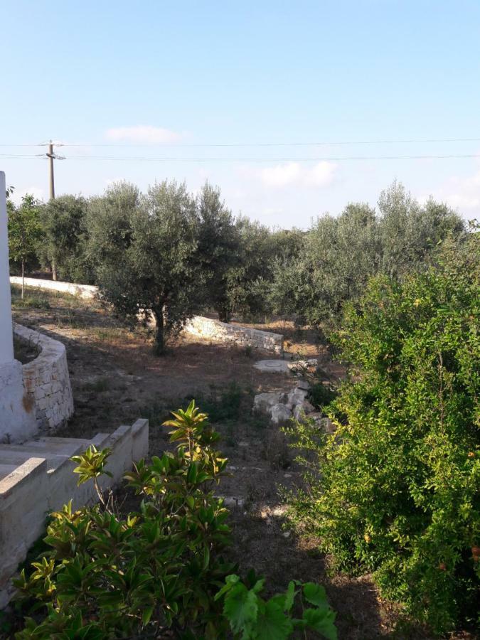 Fra Il Glicine E Il Sambuco Villa โมโนโปลี ภายนอก รูปภาพ